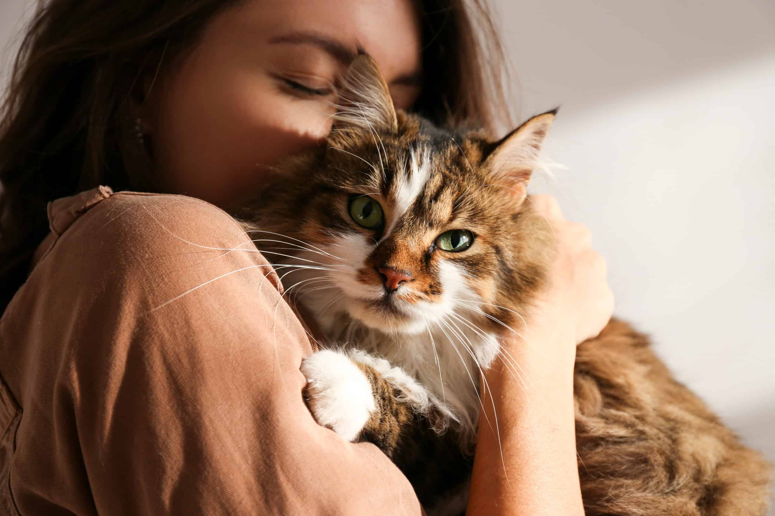 Featured image for “How Pets Can Have a Positive Impact on Mental Health”