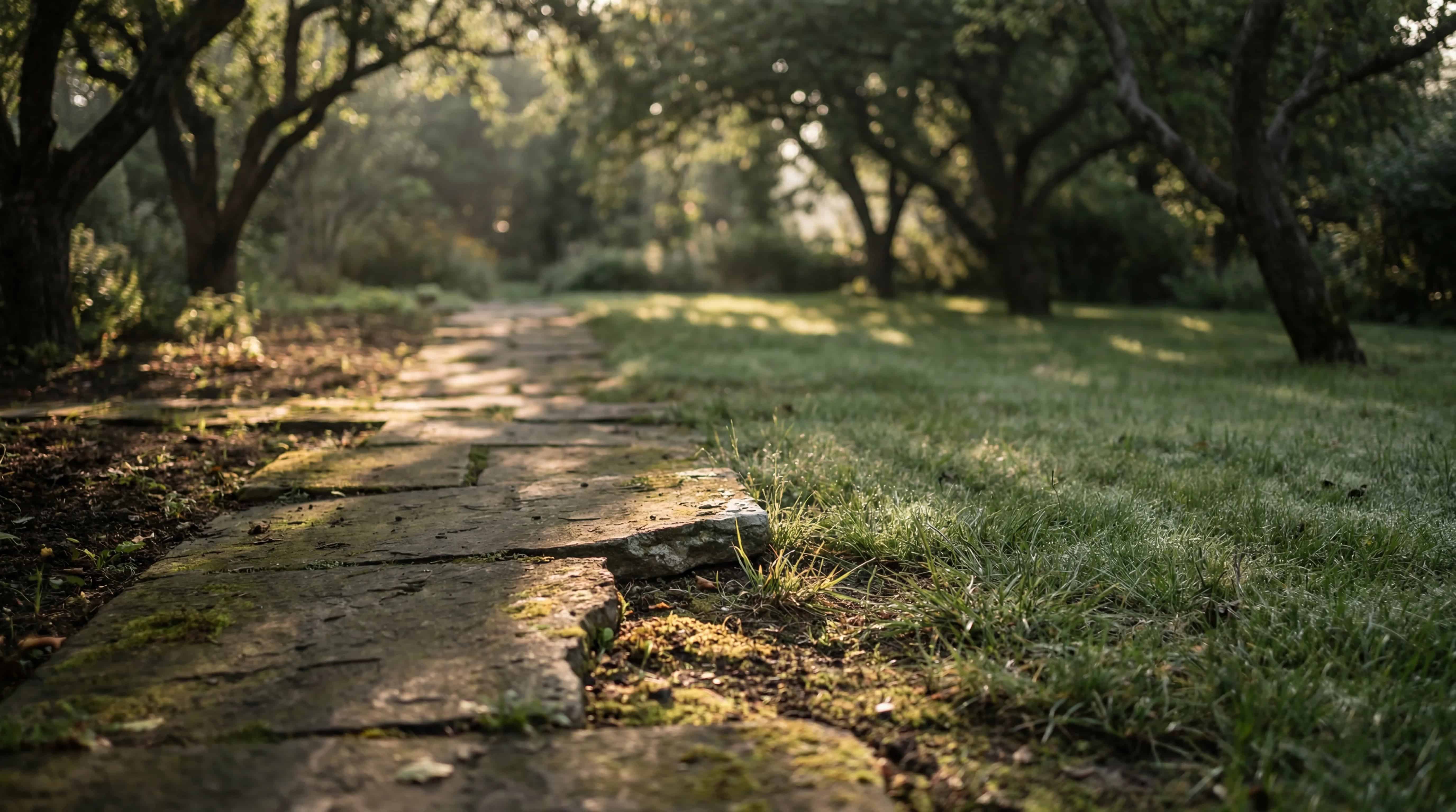 An interrupted path suggesting a sudden health insurance coverage change