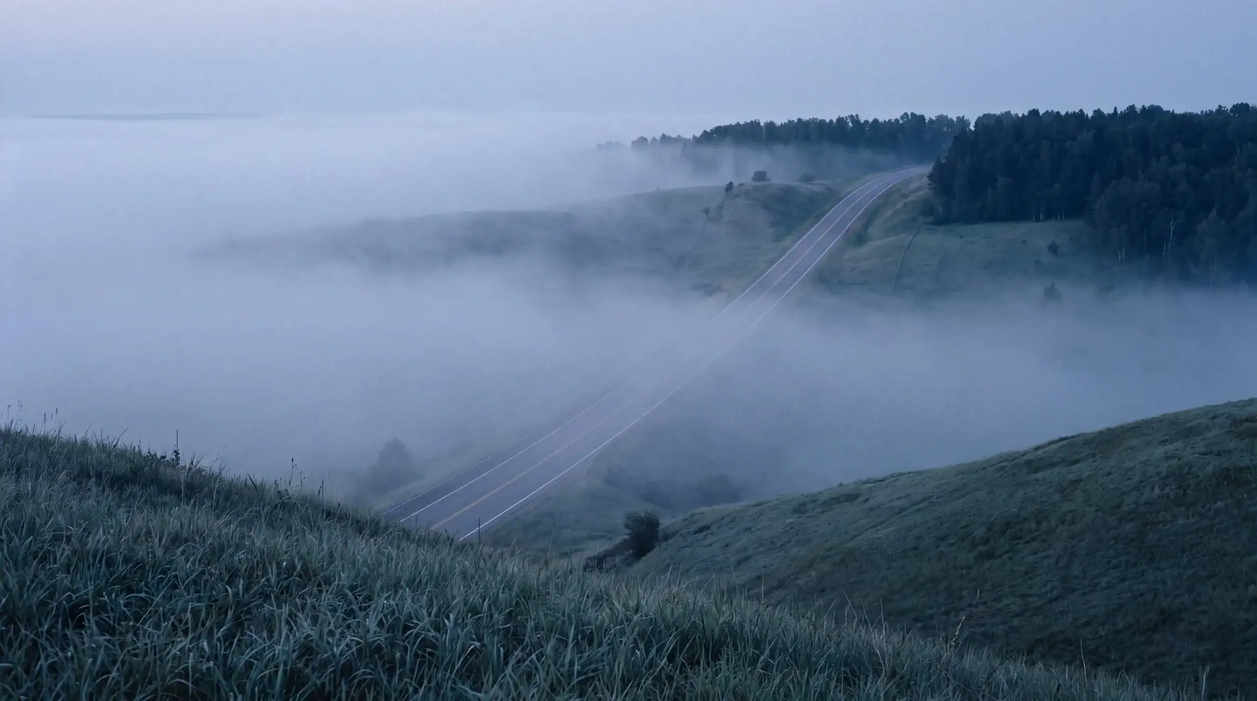 A road emerging through layers of morning fog
