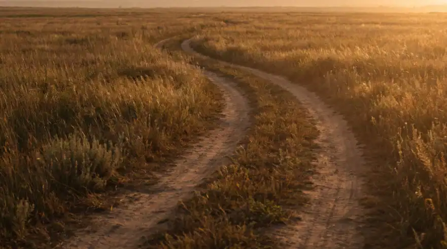 Winding path through a golden field, representing a search for direction in therapy